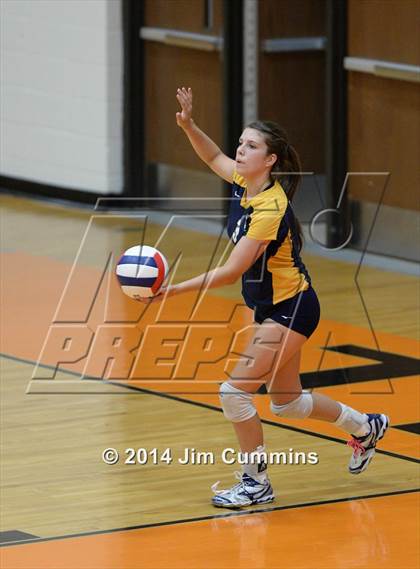 Thumbnail 2 in Neuqua Valley @ Wheaton-Warrenville South photogallery.