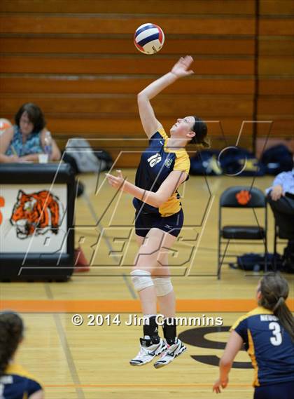 Thumbnail 2 in Neuqua Valley @ Wheaton-Warrenville South photogallery.