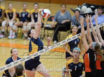 Thumbnail 2 in Neuqua Valley @ Wheaton-Warrenville South photogallery.