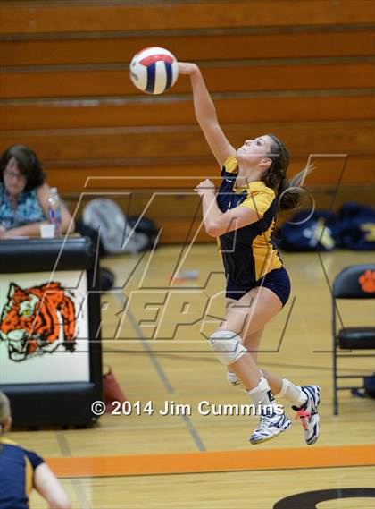 Thumbnail 1 in Neuqua Valley @ Wheaton-Warrenville South photogallery.
