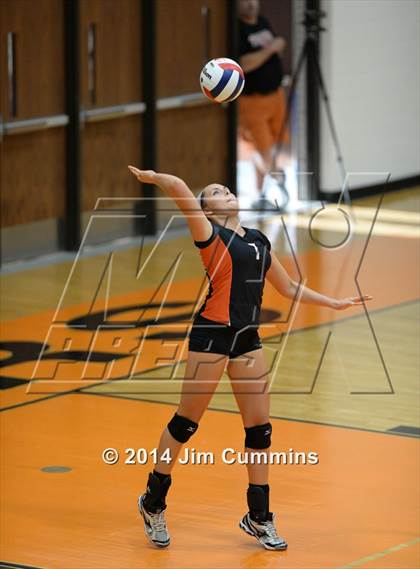 Thumbnail 2 in Neuqua Valley @ Wheaton-Warrenville South photogallery.