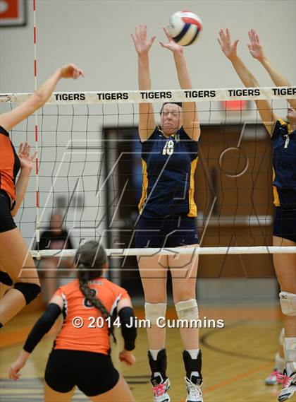 Thumbnail 3 in Neuqua Valley @ Wheaton-Warrenville South photogallery.