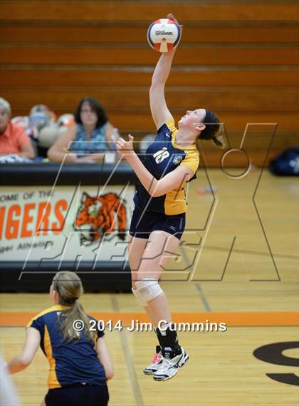 Thumbnail 1 in Neuqua Valley @ Wheaton-Warrenville South photogallery.
