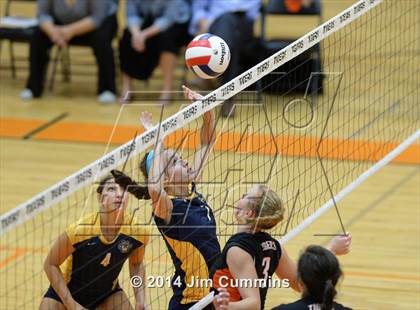 Thumbnail 2 in Neuqua Valley @ Wheaton-Warrenville South photogallery.