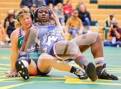 Thumbnail 1 in Widefield @ Falcon photogallery.