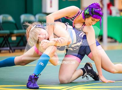 Thumbnail 1 in Widefield @ Falcon photogallery.