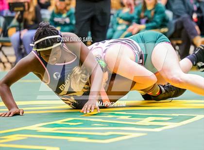 Thumbnail 1 in Widefield @ Falcon photogallery.