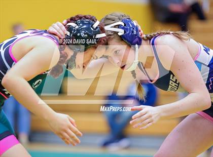 Thumbnail 3 in Widefield @ Falcon photogallery.