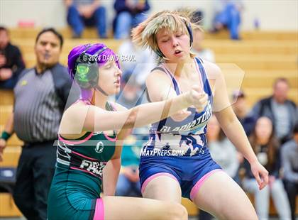 Thumbnail 2 in Widefield @ Falcon photogallery.