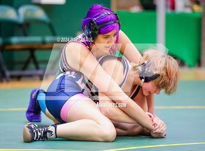 Thumbnail 1 in Widefield @ Falcon photogallery.