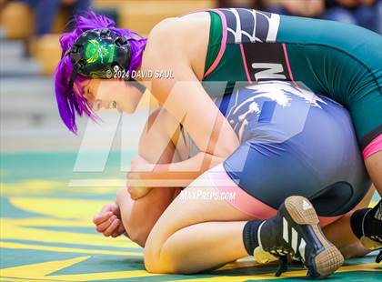 Thumbnail 2 in Widefield @ Falcon photogallery.