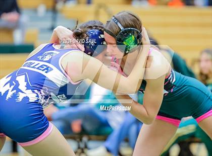 Thumbnail 2 in Widefield @ Falcon photogallery.
