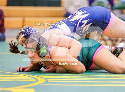 Thumbnail 3 in Widefield @ Falcon photogallery.
