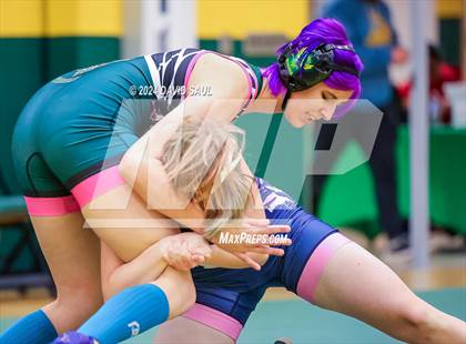 Thumbnail 3 in Widefield @ Falcon photogallery.