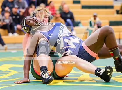 Thumbnail 2 in Widefield @ Falcon photogallery.