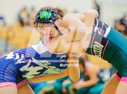 Thumbnail 3 in Widefield @ Falcon photogallery.