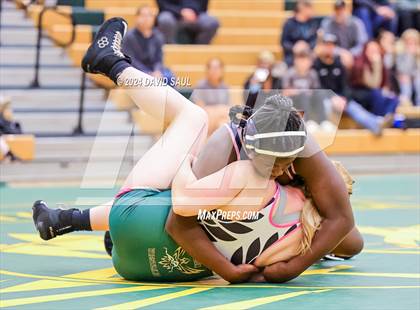 Thumbnail 2 in Widefield @ Falcon photogallery.