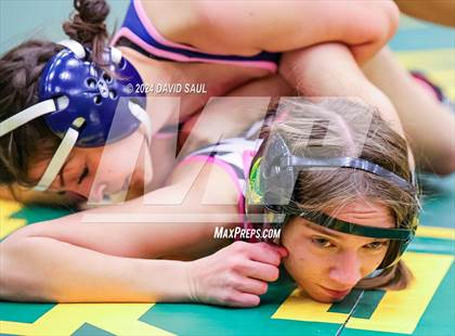 Thumbnail 3 in Widefield @ Falcon photogallery.