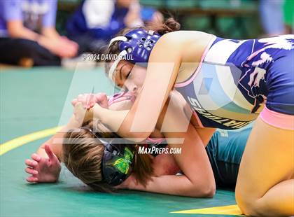 Thumbnail 1 in Widefield @ Falcon photogallery.