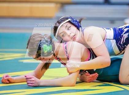 Thumbnail 3 in Widefield @ Falcon photogallery.