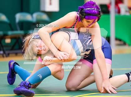 Thumbnail 2 in Widefield @ Falcon photogallery.