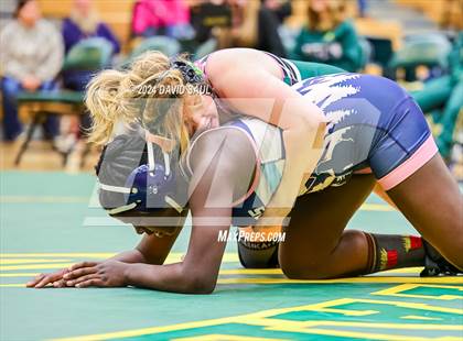 Thumbnail 3 in Widefield @ Falcon photogallery.