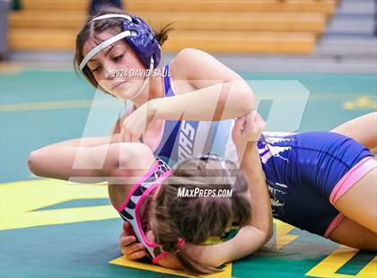 Thumbnail 2 in Widefield @ Falcon photogallery.