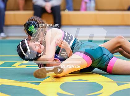 Thumbnail 1 in Widefield @ Falcon photogallery.