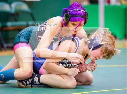 Thumbnail 3 in Widefield @ Falcon photogallery.