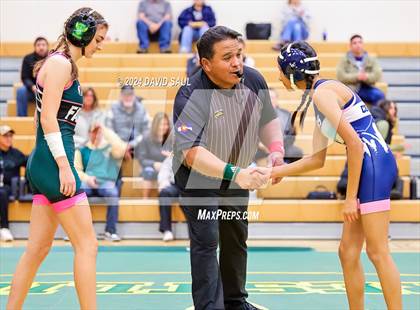 Thumbnail 3 in Widefield @ Falcon photogallery.