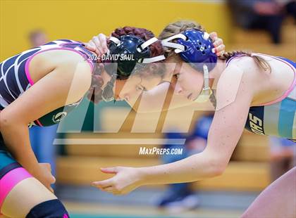 Thumbnail 2 in Widefield @ Falcon photogallery.