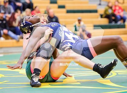Thumbnail 1 in Widefield @ Falcon photogallery.