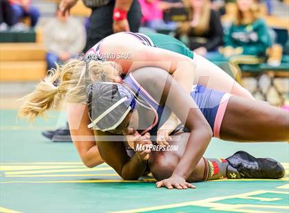 Thumbnail 1 in Widefield @ Falcon photogallery.