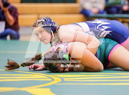 Thumbnail 2 in Widefield @ Falcon photogallery.