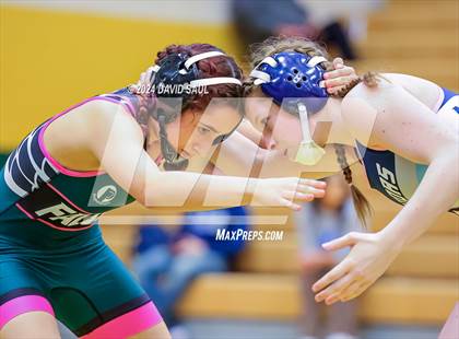 Thumbnail 1 in Widefield @ Falcon photogallery.
