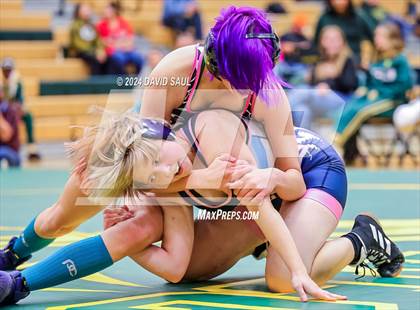 Thumbnail 1 in Widefield @ Falcon photogallery.