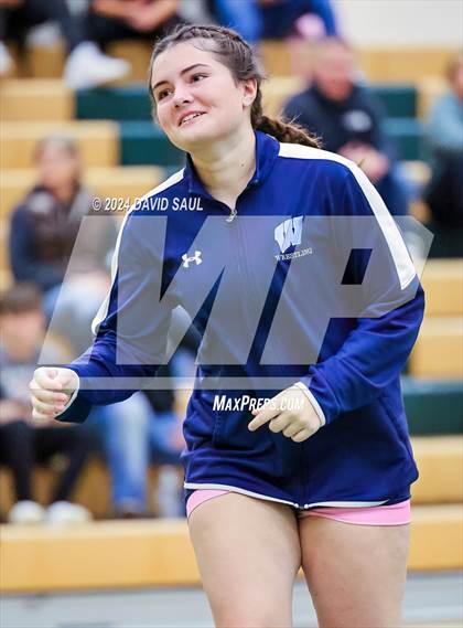 Thumbnail 3 in Widefield @ Falcon photogallery.