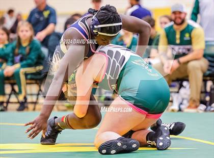 Thumbnail 3 in Widefield @ Falcon photogallery.