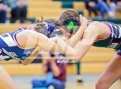 Thumbnail 1 in Widefield @ Falcon photogallery.