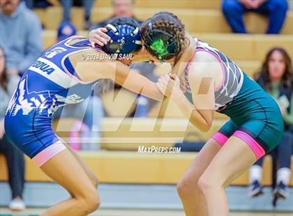 Thumbnail 1 in Widefield @ Falcon photogallery.