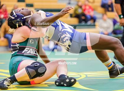 Thumbnail 2 in Widefield @ Falcon photogallery.