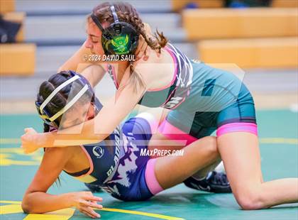 Thumbnail 3 in Widefield @ Falcon photogallery.