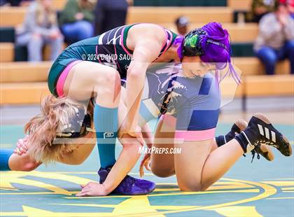 Thumbnail 2 in Widefield @ Falcon photogallery.