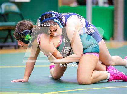 Thumbnail 3 in Widefield @ Falcon photogallery.