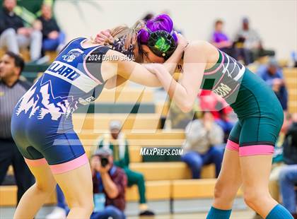 Thumbnail 3 in Widefield @ Falcon photogallery.