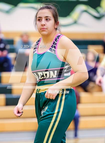 Thumbnail 2 in Widefield @ Falcon photogallery.