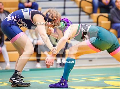Thumbnail 3 in Widefield @ Falcon photogallery.