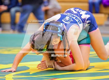 Thumbnail 1 in Widefield @ Falcon photogallery.