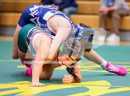 Thumbnail 3 in Widefield @ Falcon photogallery.