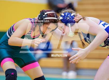 Thumbnail 3 in Widefield @ Falcon photogallery.